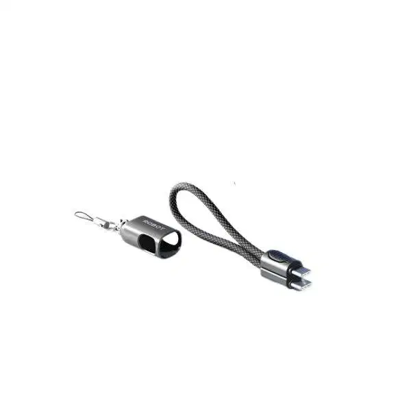 Robot Data Cable RKCC01 Type-C To Type-C 65W 20CM