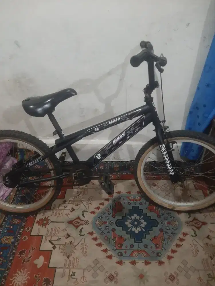 Sepeda ukuran 20 Rem TORPEDO