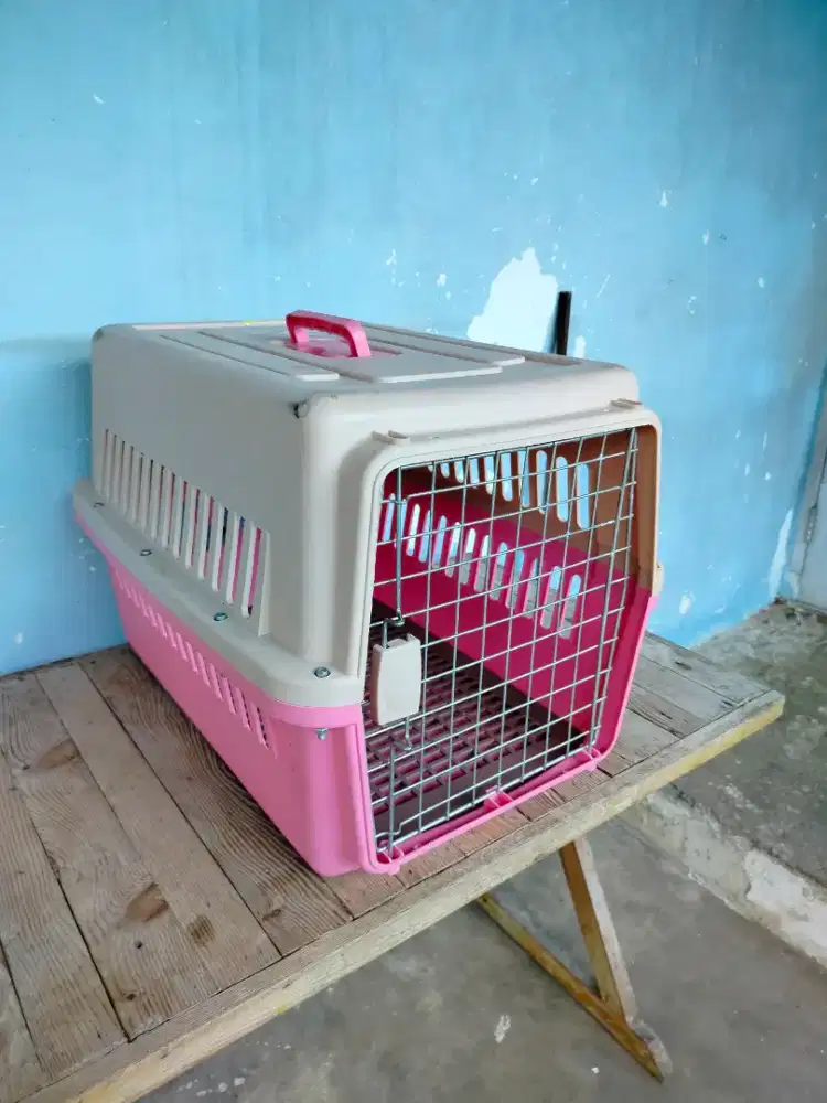 PET CARGO KUCING OCTAGON
