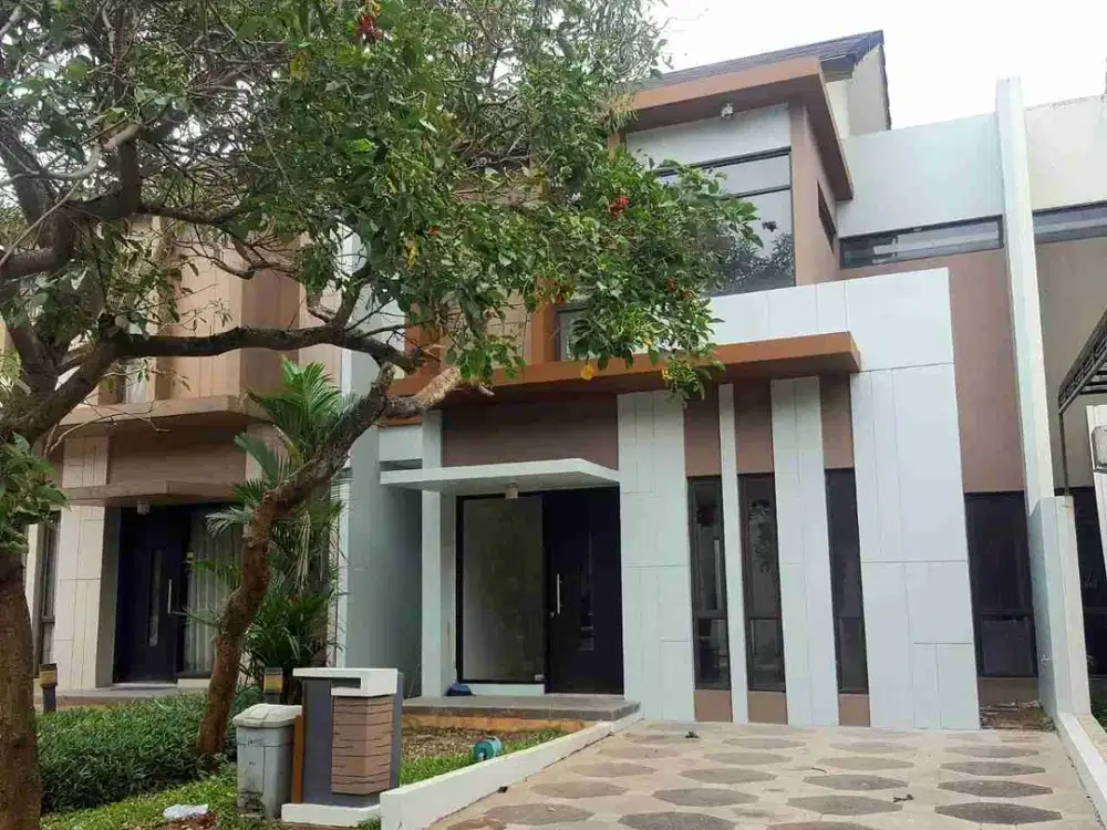 Foglio Foresta BSD City