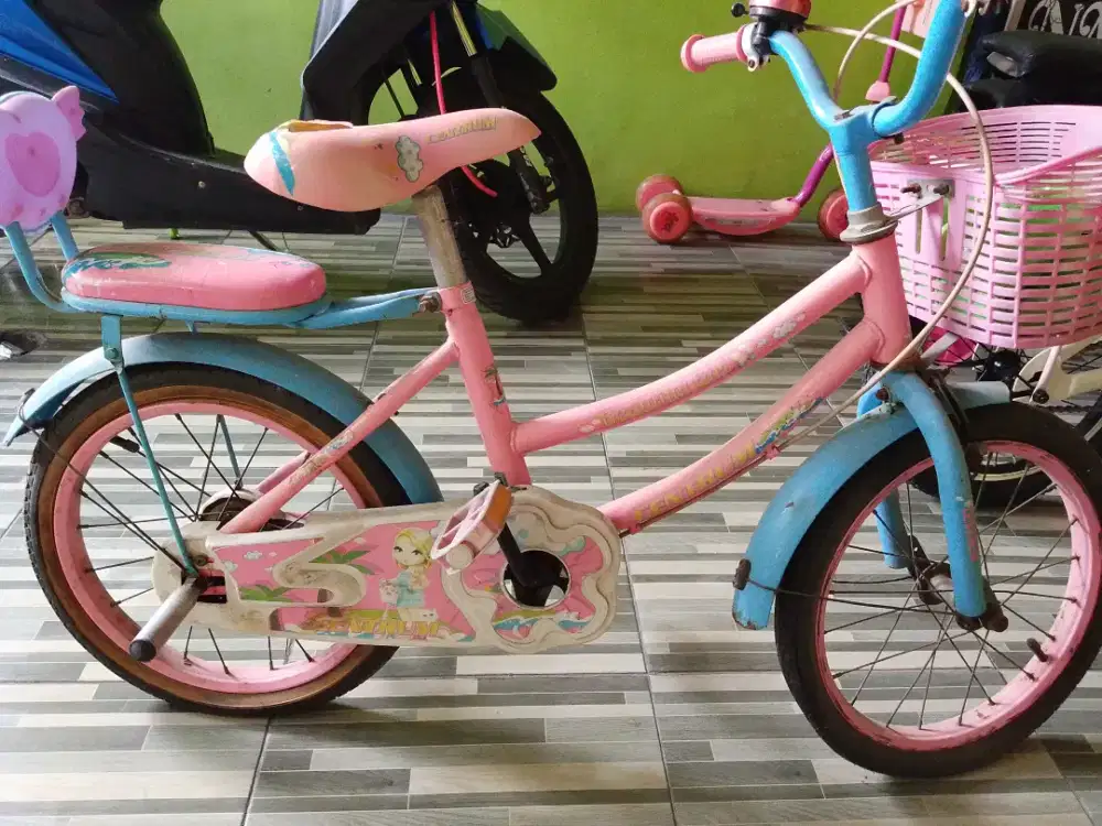 Sepeda roda dua