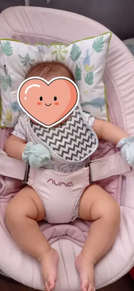 baby swing nuna