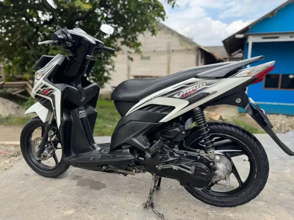 Vario Techno 2011
