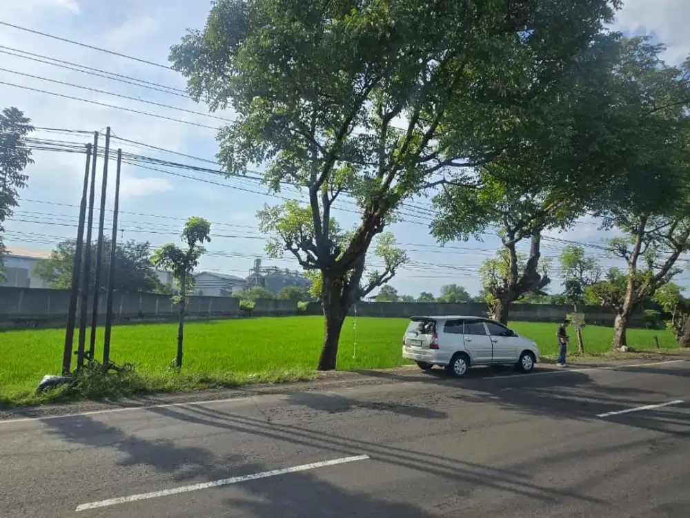 Dijual Lahan Zona Industri Lokasi Strategis Sragen Luas 2,2 Hektar BU!!