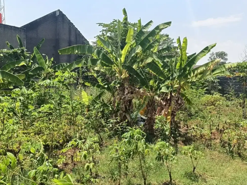 Tanah MURAHLokasi Strategis di Komplek Aria Graha