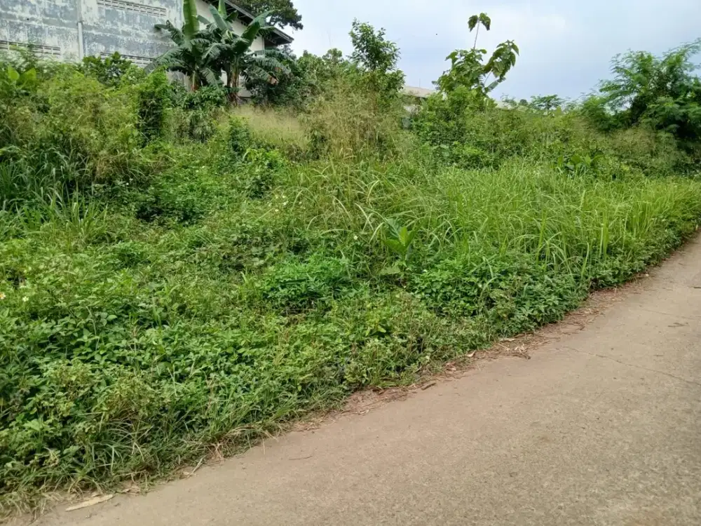 5 Menit Pintu Tol Cimanggis Lahan Strategis Depok Free SHM