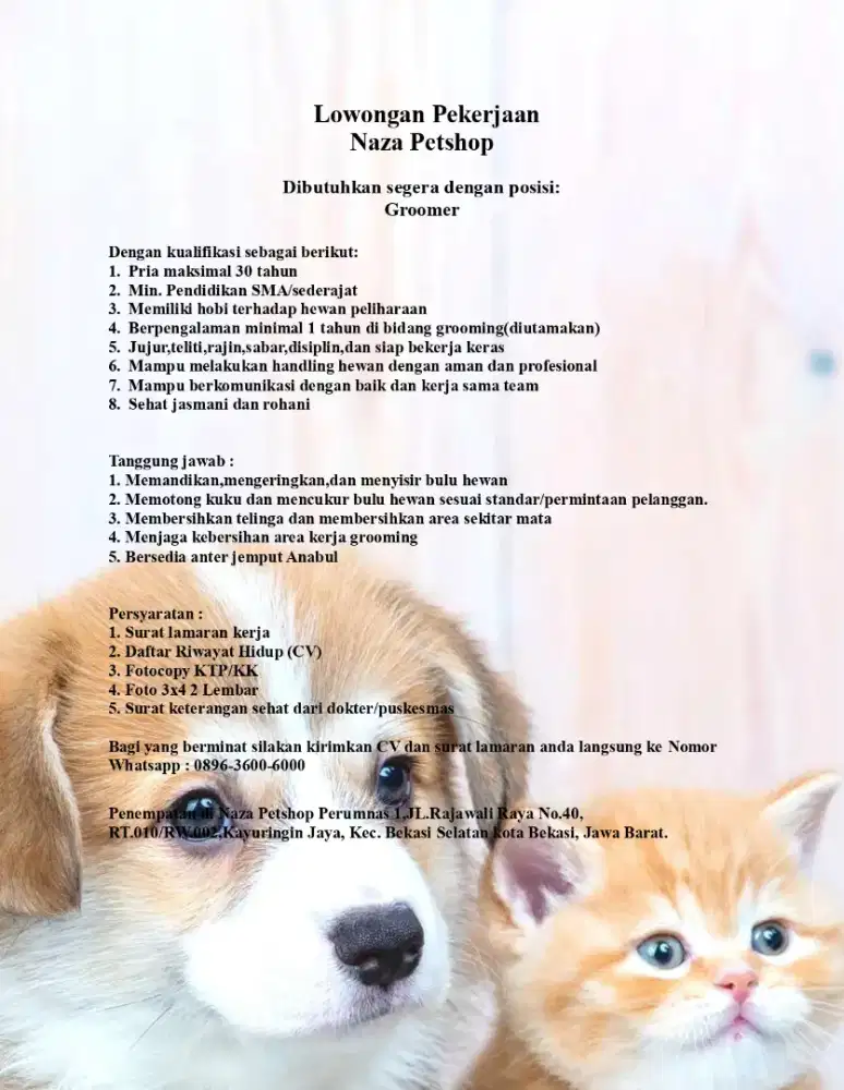 Dibutuhkan Pekerja Groomer di Naza Petshop, Bekasi Selatan Kota Bekasi