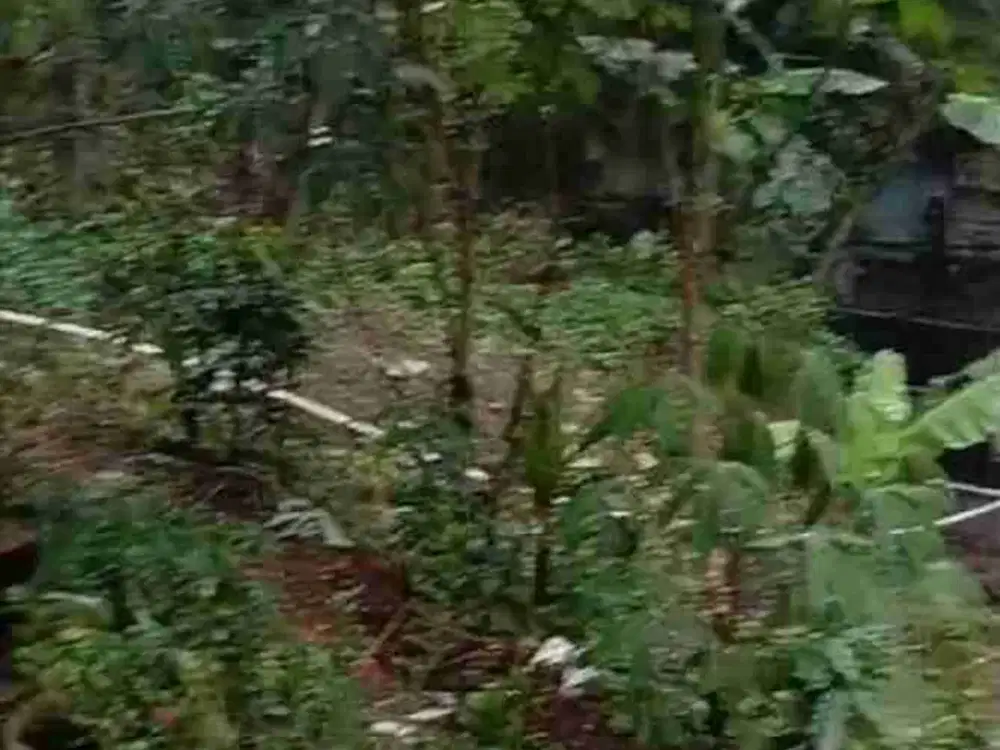 Tanah strategis pinggir jalan limbangan Garut di sebrang pabrik