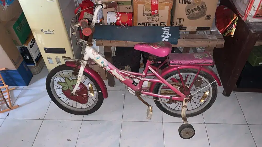 Sepeda anak anak lucu