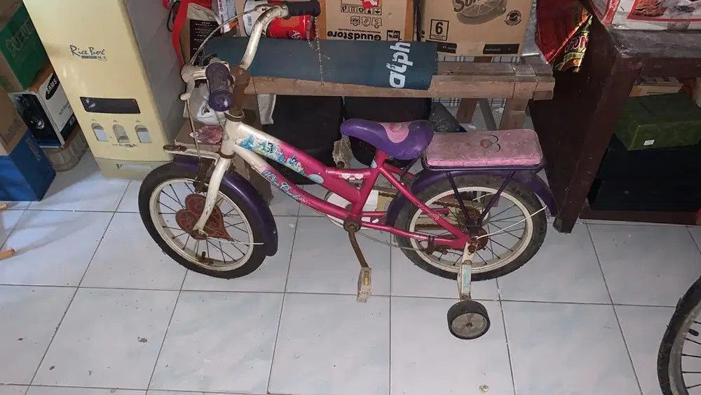 Sepeda anak anak lucu