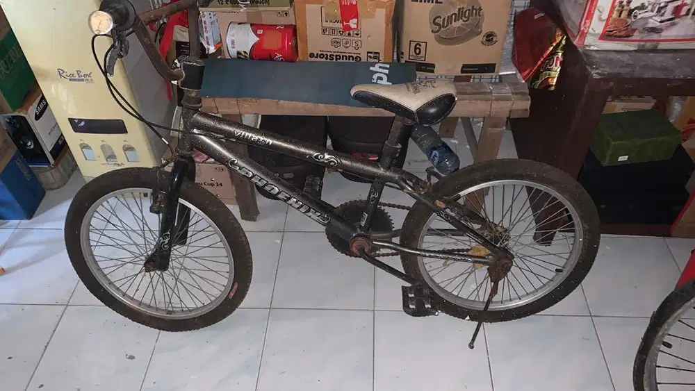 Sepeda BMX anak anak