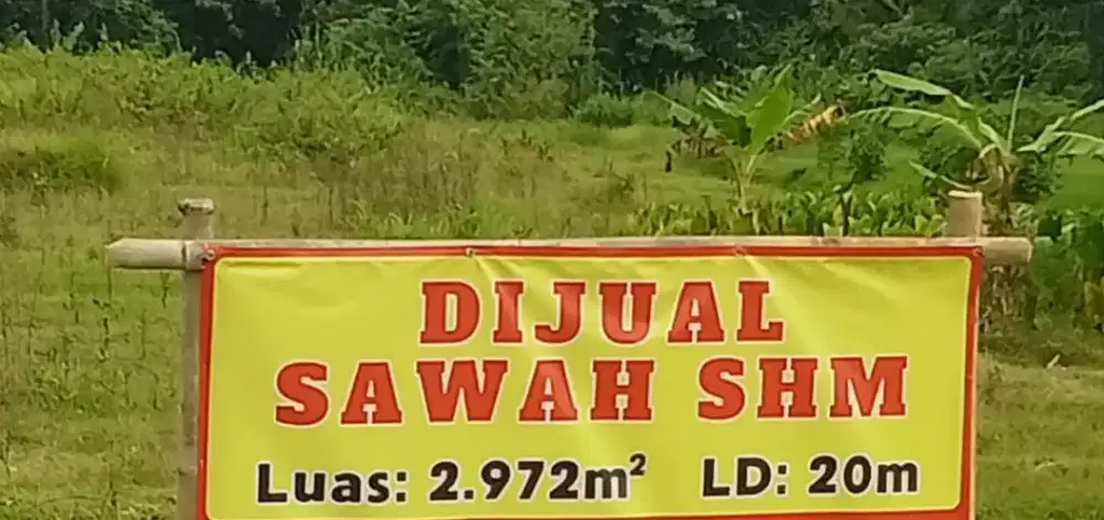 Jual sawah pinggir jalan