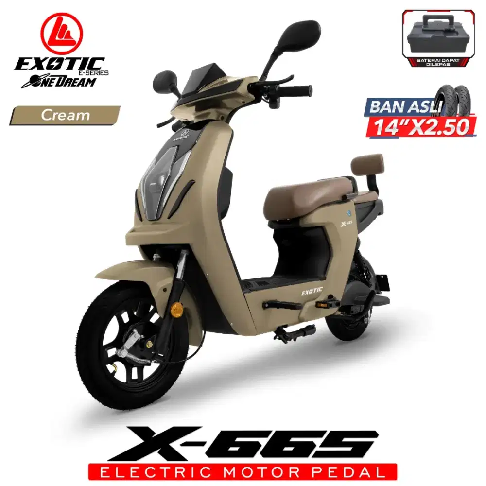 Sepeda Listrik Exotic X-665