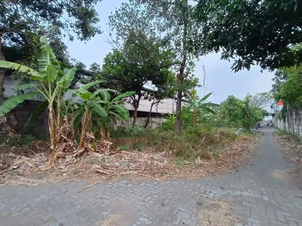 Tanah Strategis Pinggir Jalan Raya Sepatan Tangerang – Luas 1.322m², Cocok Gudang & Kontrakan!