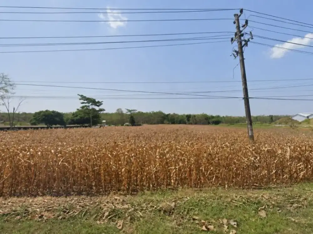 Lahan cocok untuk Pabrik  nol Jalan Provinsi zona Industri Pemalang
