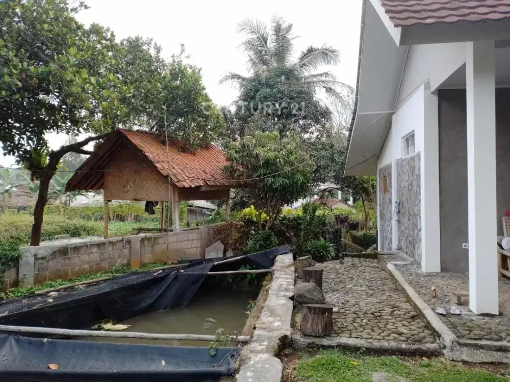 Dijual Kebun Ada Rumahnya Area Gadog Bawah Bogor