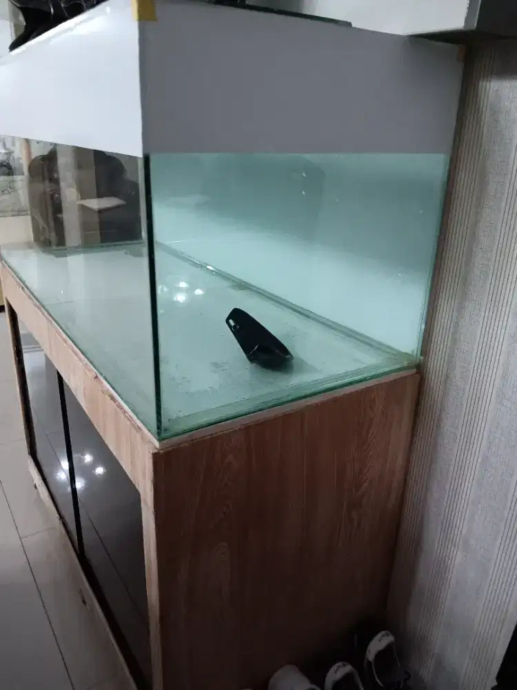 Aquarium lengkap tinggal pakai