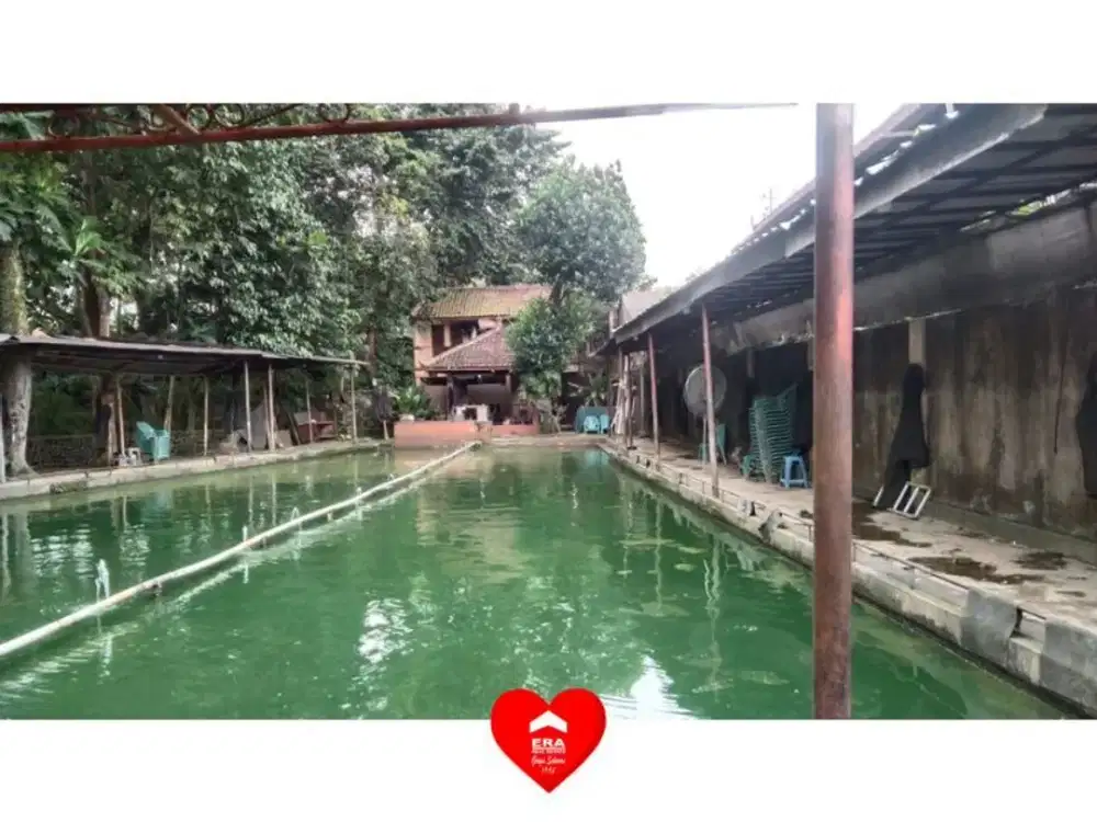 Tanah Pemancingan di Jl Aselih Jagakarsa, Jakarta Selatan