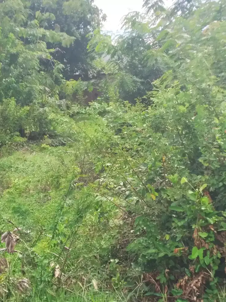 Dijual tanah murah Pango deah