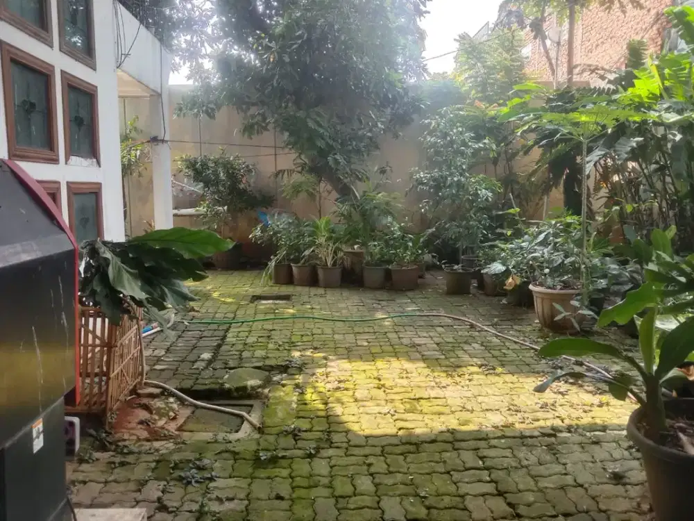 Rumah Kebun 2 Lantai di Kebayoran Lama.