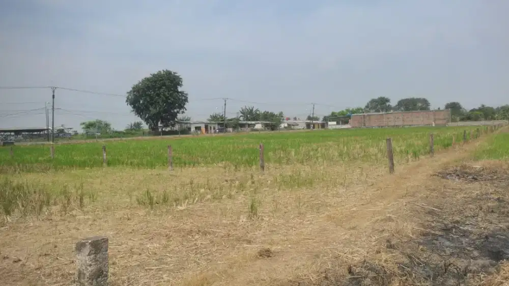 Jual Murah Tanah Desa Sukatenang Sukawangi Kabupaten Bekasi