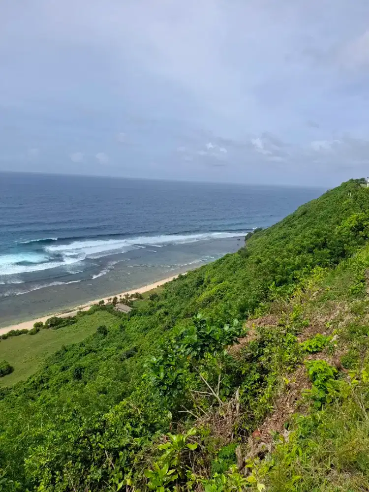 Amazing Cliff Land Forsale at Pecatu