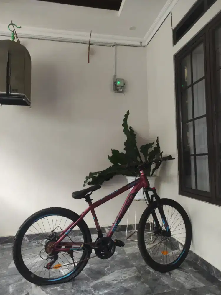 Sepeda Foster 629 GX