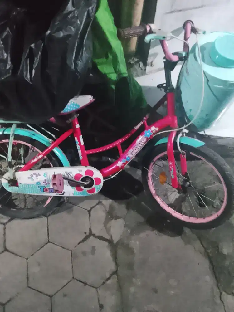 Sepeda anak cewek genio