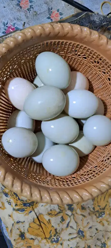Telur bebek ijo