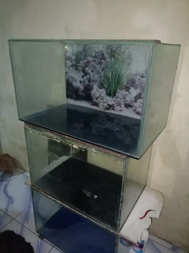 Di jual Tank Aquarium
