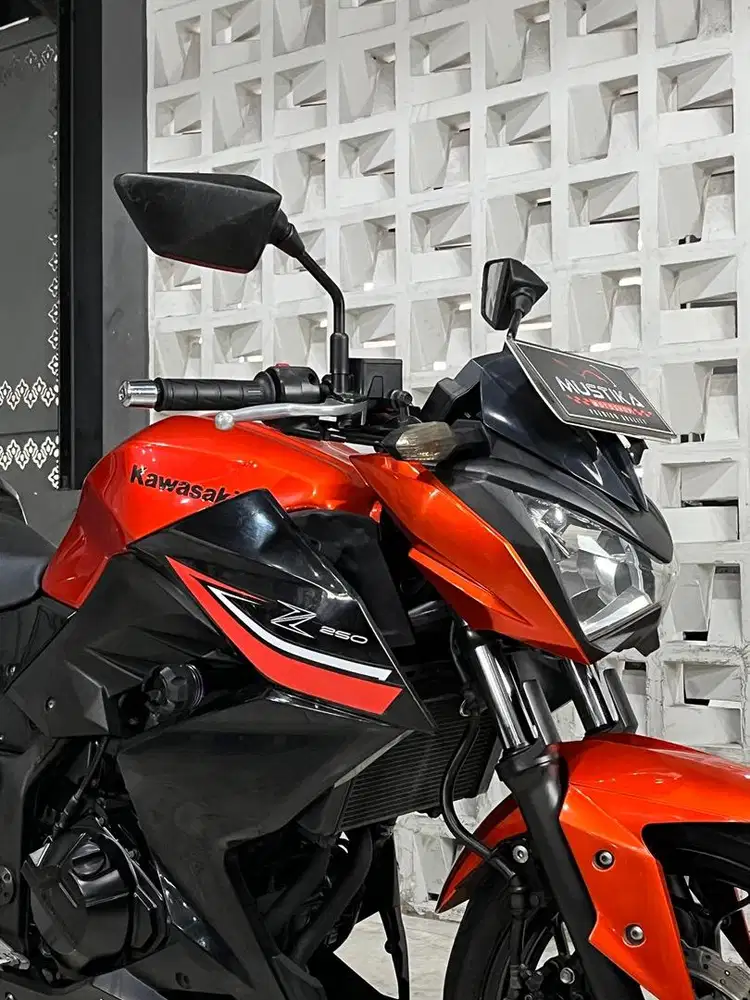 Naked Bike!!Kawasaki Z250 th 2016 - Ayu Mustika