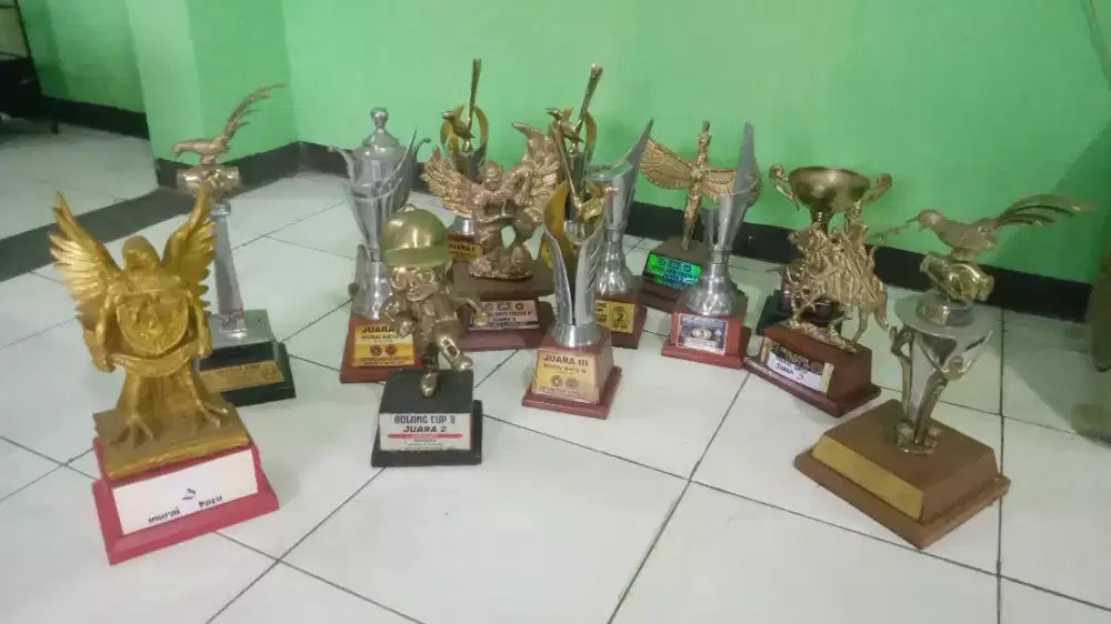 Trophi murai kmi