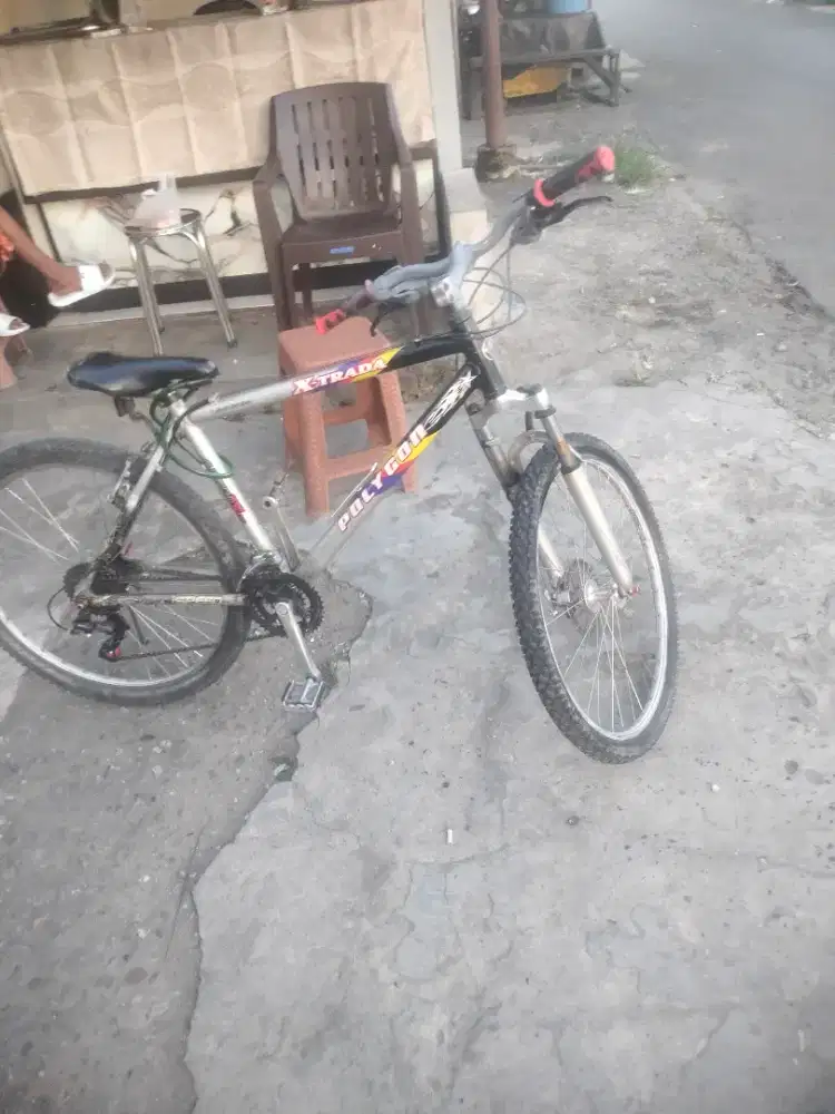 Sepeda poligon asli
