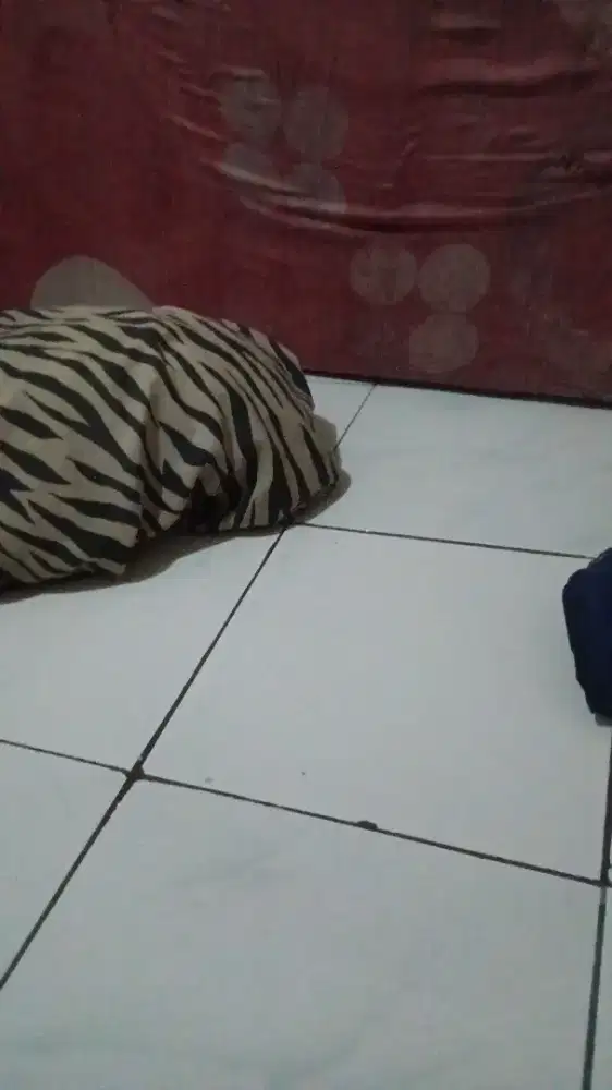 Cari pekerjaan babysitter
