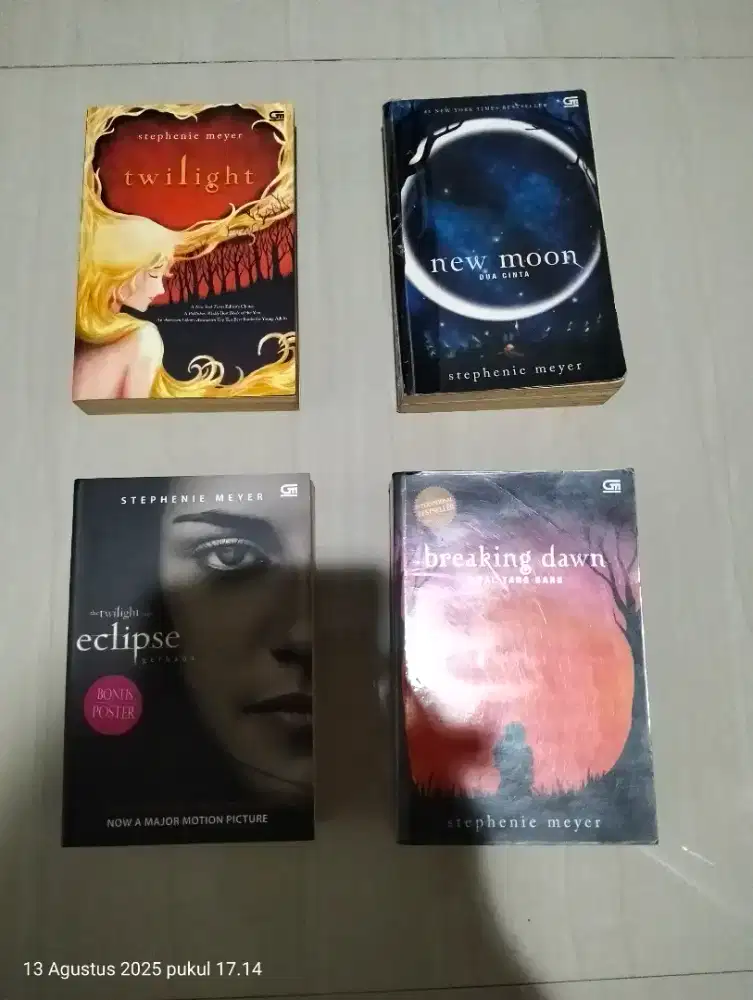 Novel twilight saga