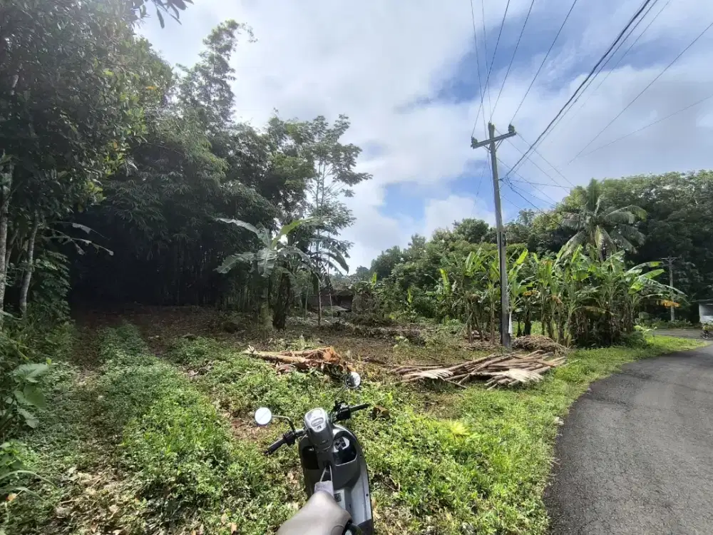 Tanah dijual pinggir jalan aspal