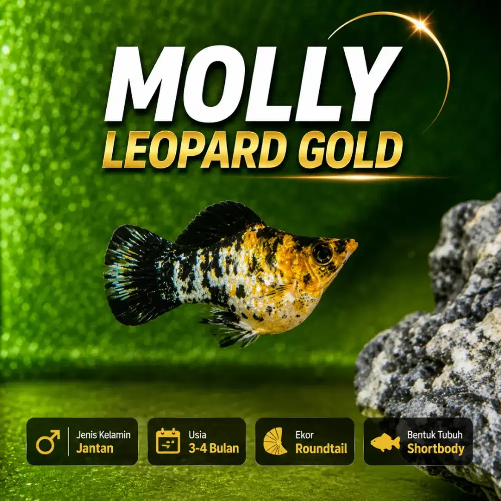 Molly Leopar Gold