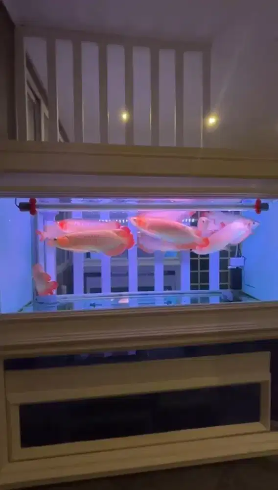 Aquarium fullset sump filter