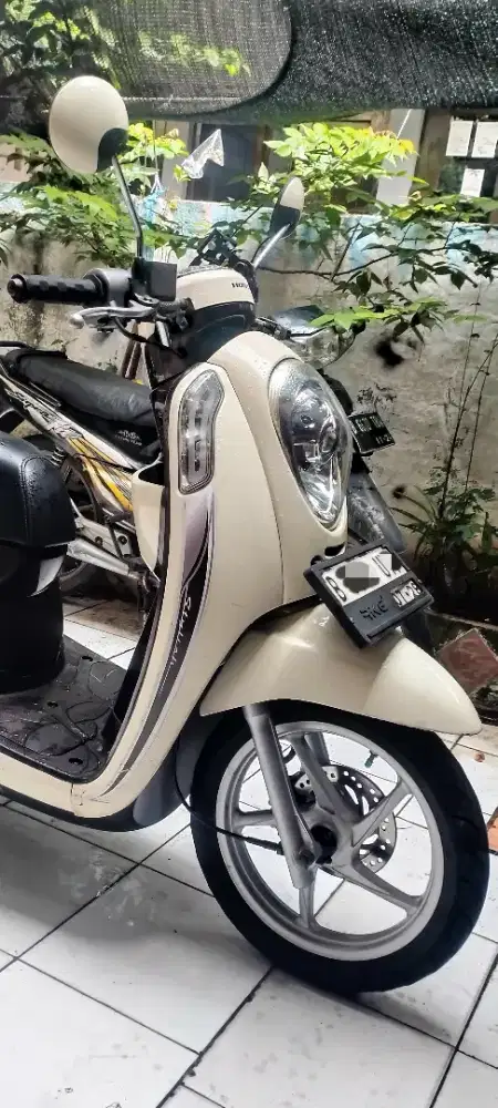 scoopy stylish pajak on
