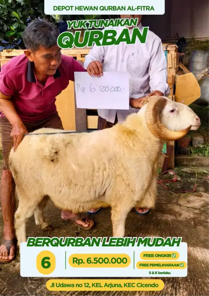 HEWAN QURBAN DOMBA DAN SAPI TERMURAH SEBANDUNG RAYA