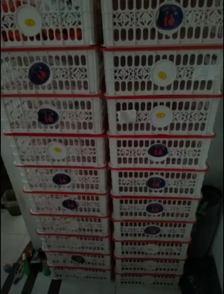 Keranjang bekas buah tebal
