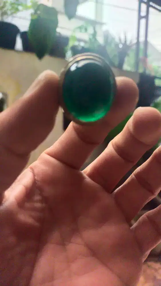 Natural bacan doko