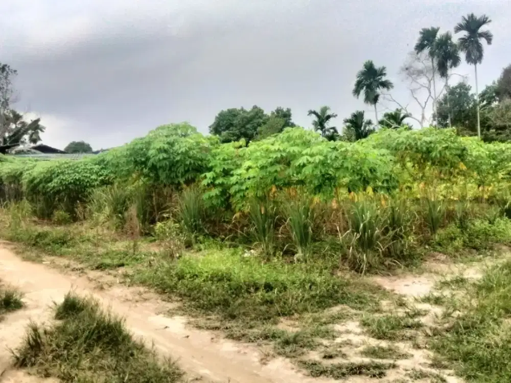 Di Jual Tanah Kavling Siap Bangun Hanya 3 Menit Ke Kampoeng Radja