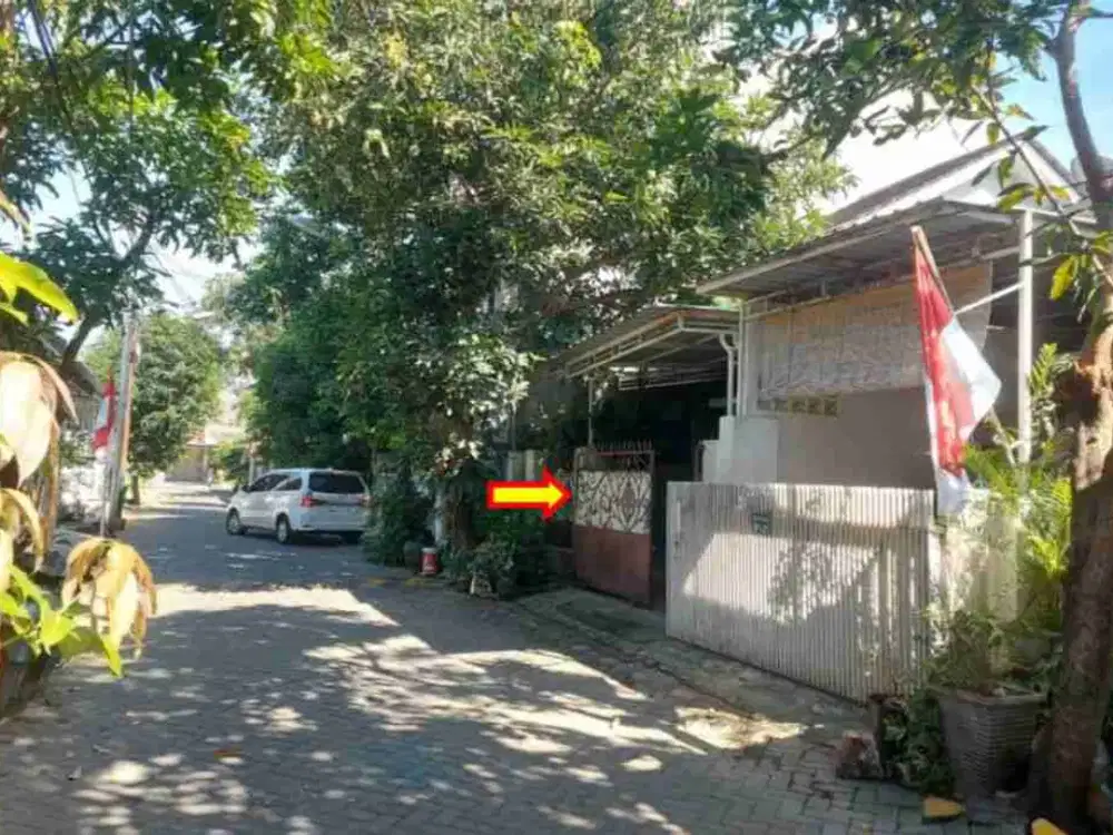 Dijual via lelang rumah kelurahan wonorejo rungkut lokasi strategis dekat kampus