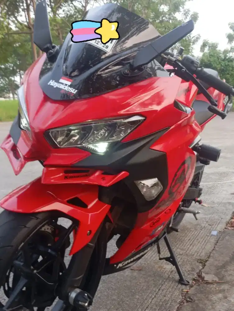 Kawasaki Ninja 250 F1 New th 2018