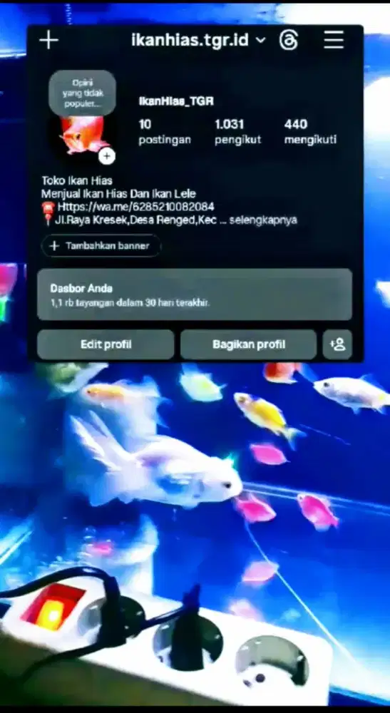 Ikan hias tangerang