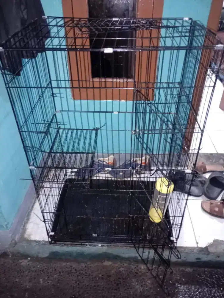 Kandang Kelinci lokal