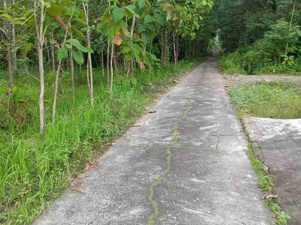 TANAH PEKARANGAN NGUTER SUKOHARJO