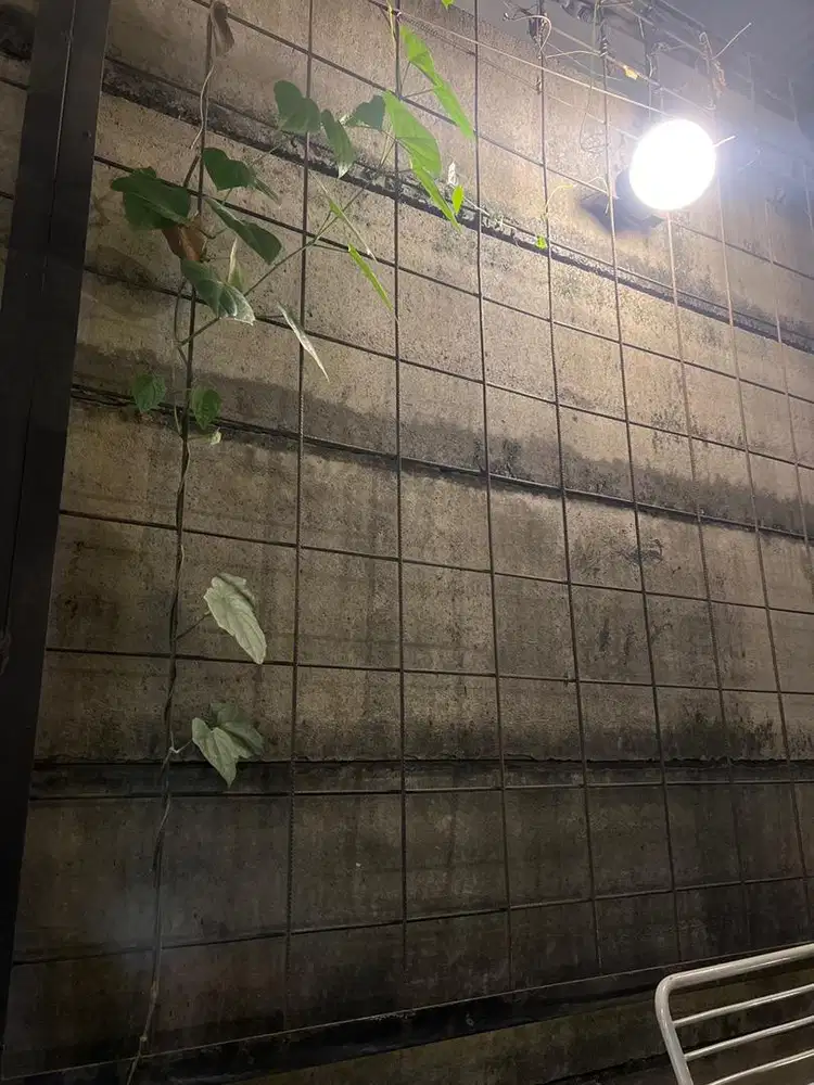 dibutuhkan tukang cabut rumput / tukang bersih kebun