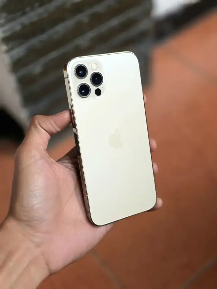 iphone 12 pro 256gb bea cukai lengkap